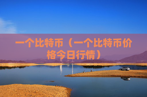 一个比特币(一个比特币价格今日行情)