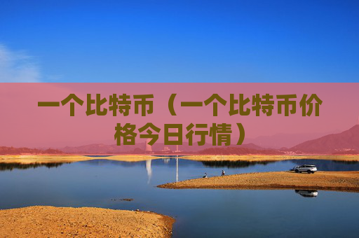一个比特币(一个比特币价格今日行情)