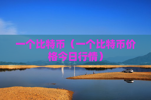 一个比特币(一个比特币价格今日行情)