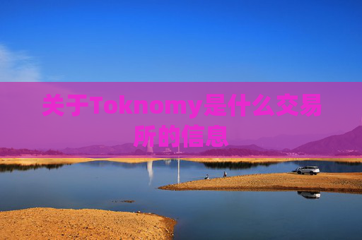 关于Toknomy是什么交易所的信息