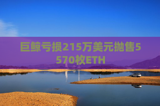 巨鲸亏损215万美元抛售5570枚ETH