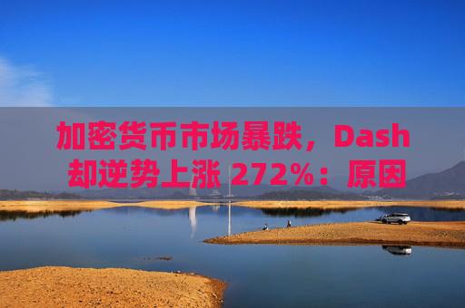 加密货币市场暴跌，Dash 却逆势上涨 272%：原因何在？