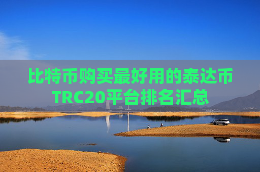 比特币购买最好用的泰达币TRC20平台排名汇总