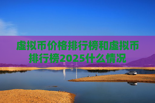 虚拟币价格排行榜和虚拟币排行榜2025什么情况
