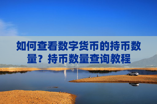 如何查看数字货币的持币数量?持币数量查询教程