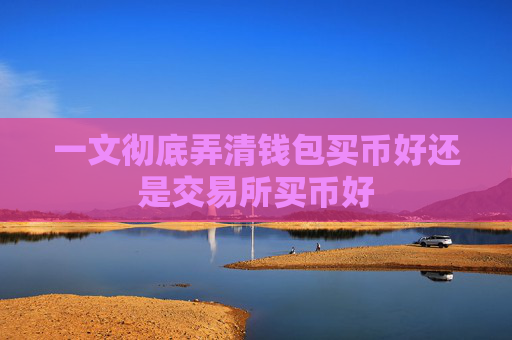 一文彻底弄清钱包买币好还是交易所买币好