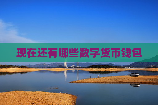 现在还有哪些数字货币钱包