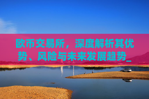 欧币交易所，深度解析其优势、风险与未来发展趋势_欧币交易所app