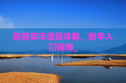 欧易买币流程详解，新手入门指南_