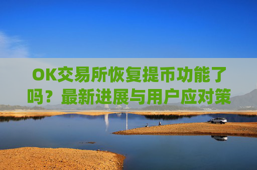 OK交易所恢复提币功能了吗?最新进展与用户应对策略解析_ok交易所能提币了吗是真的吗