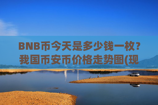 BNB币今天是多少钱一枚？我国币安币价格走势图(现价4867.41元)