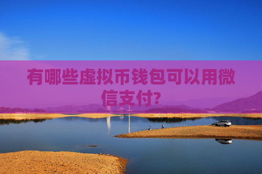 有哪些虚拟币钱包可以用微信支付?