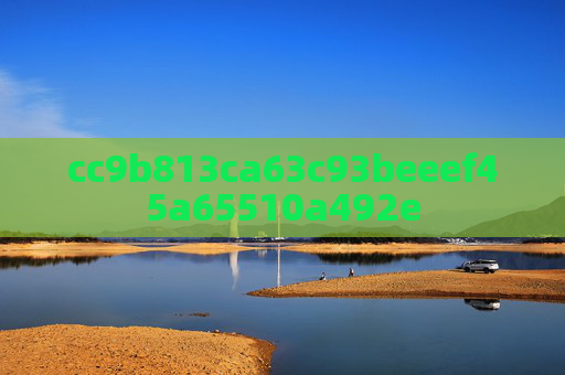 cc9b813ca63c93beeef45a65510a492e
