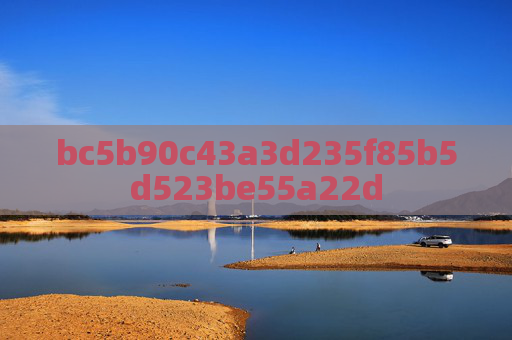 bc5b90c43a3d235f85b5d523be55a22d