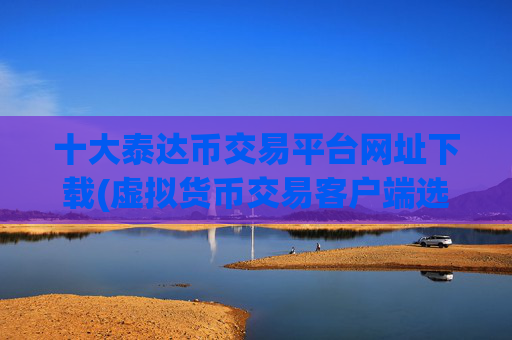 十大泰达币交易平台网址下载(虚拟货币交易客户端选择宝典)