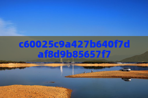 c60025c9a427b640f7daf8d9b85657f7