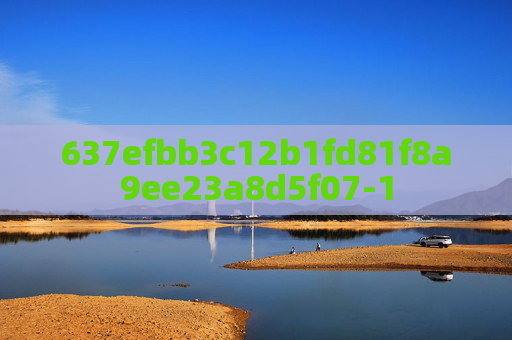 637efbb3c12b1fd81f8a9ee23a8d5f07-1