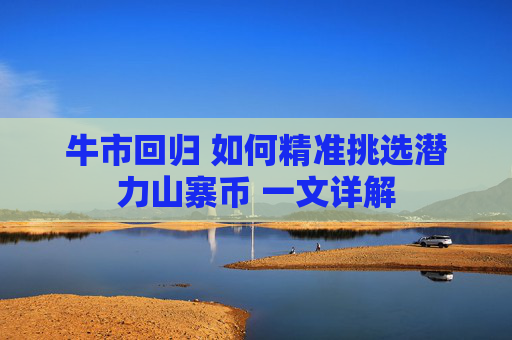 牛市回归 如何精准挑选潜力山寨币 一文详解