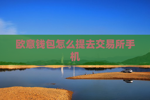 欧意钱包怎么提去交易所手机