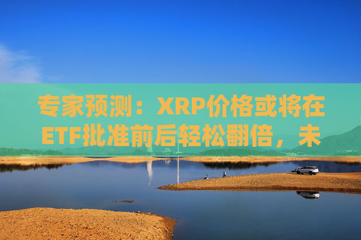 专家预测：XRP价格或将在ETF批准前后轻松翻倍，未来走势关键节点揭晓