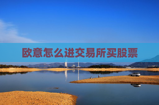 欧意怎么进交易所买股票