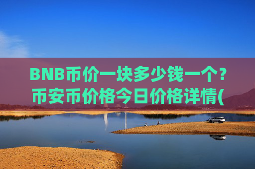 BNB币价一块多少钱一个?币安币价格今日价格详情(现价4859.53元)