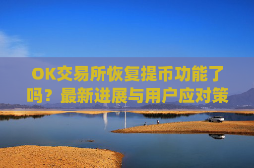 OK交易所恢复提币功能了吗?最新进展与用户应对策略_ok交易所可以提币了吗