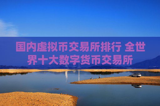 国内虚拟币交易所排行 全世界十大数字货币交易所