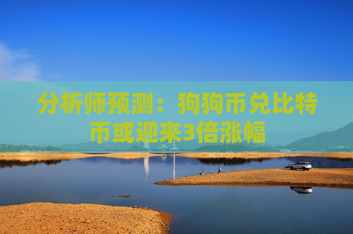 分析师预测:狗狗币兑比特币或迎来3倍涨幅