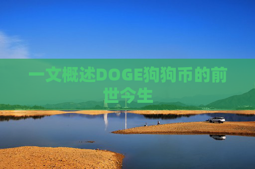 一文概述DOGE狗狗币的前世今生