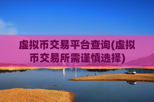 虚拟币交易平台查询(虚拟币交易所需谨慎选择)