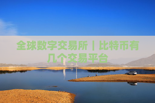 全球数字交易所｜比特币有几个交易平台