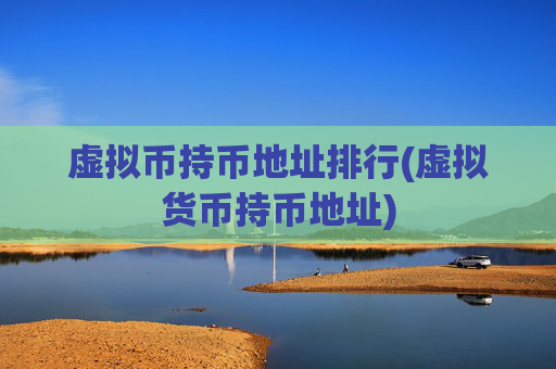 虚拟币持币地址排行(虚拟货币持币地址)