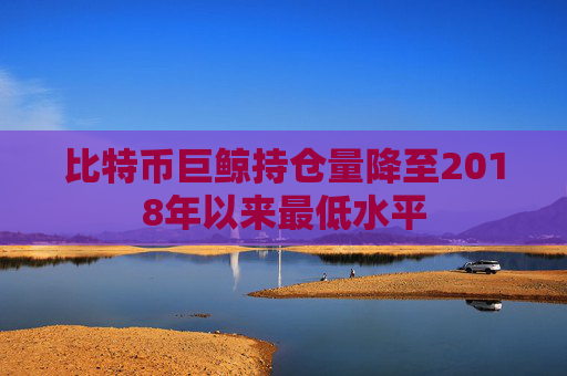比特币巨鲸持仓量降至2018年以来最低水平