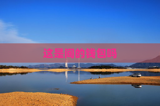 这是间的钱包吗