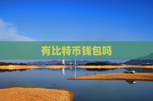 有比特币钱包吗
