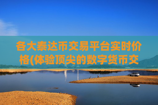 各大泰达币交易平台实时价格(体验顶尖的数字货币交易)