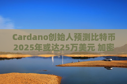 Cardano创始人预测比特币2025年或达25万美元 加密货币成科技巨头新战场
