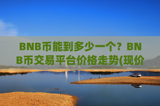 BNB币能到多少一个？BNB币交易平台价格走势(现价4863.25元)