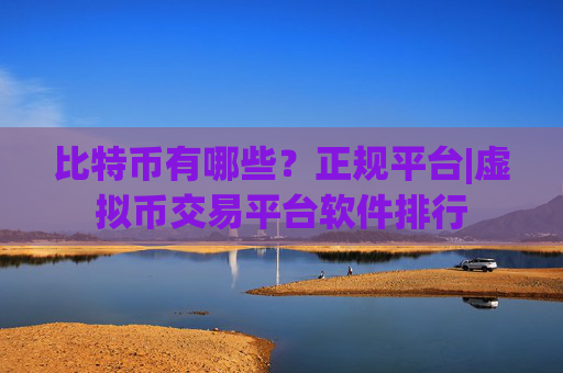 比特币有哪些？正规平台|虚拟币交易平台软件排行