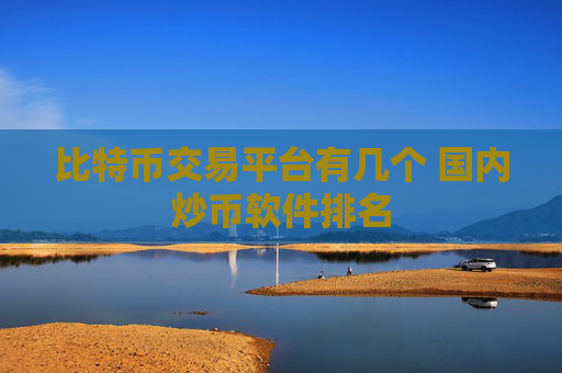 比特币交易平台有几个 国内炒币软件排名