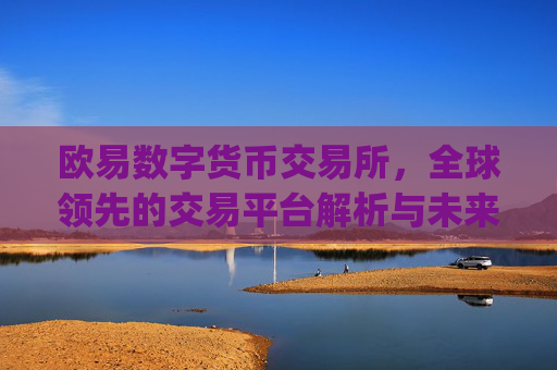 欧易数字货币交易所,全球领先的交易平台解析与未来展望_