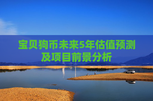 宝贝狗币未来5年估值预测及项目前景分析