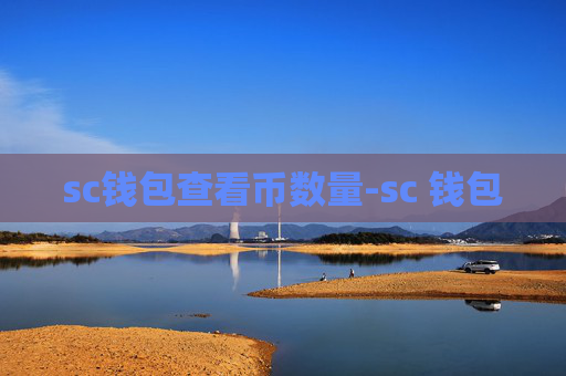 sc钱包查看币数量-sc 钱包