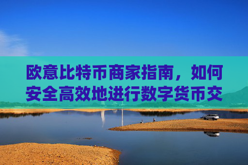欧意比特币商家指南,如何安全高效地进行数字货币交易_欧比特币官网