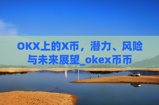 OKX上的X币,潜力、风险与未来展望_okex币币