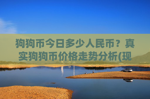 狗狗币今日多少人民币?真实狗狗币价格走势分析(现价2.3722元)