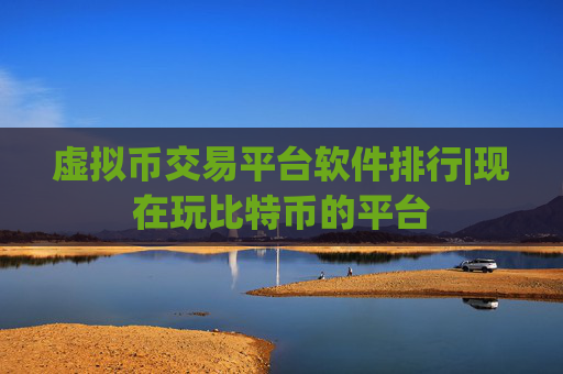 虚拟币交易平台软件排行|现在玩比特币的平台