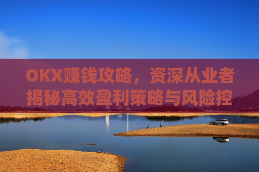 OKX赚钱攻略，资深从业者揭秘高效盈利策略与风险控制_okx赚钱图片