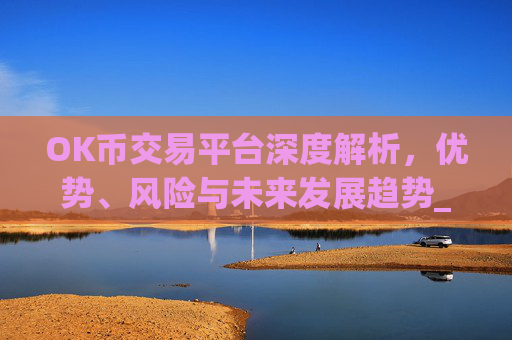 OK币交易平台深度解析,优势、风险与未来发展趋势_